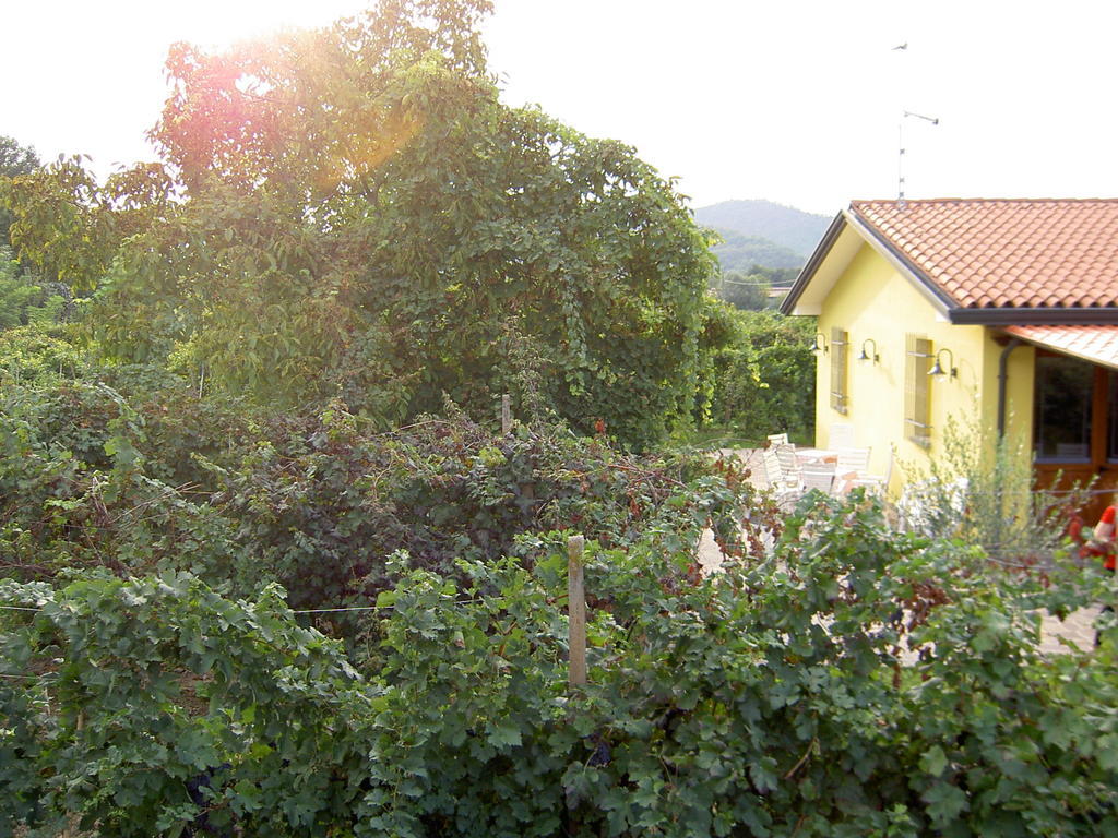 Agriturismo Monteortone Abano Terme Exteriör bild